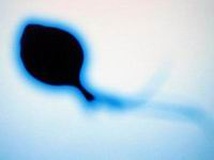 徐州试管三代试管婴儿多少钱？附2026年最新试管费用清单