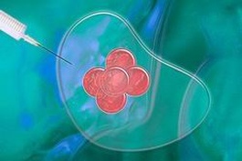 2025年湖南试管婴儿医院排名TOP5揭晓！五大权威试管医院